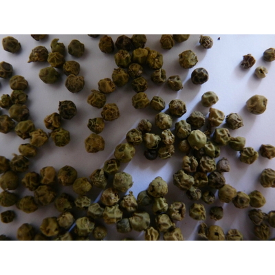 Poivre vert Malabar 1