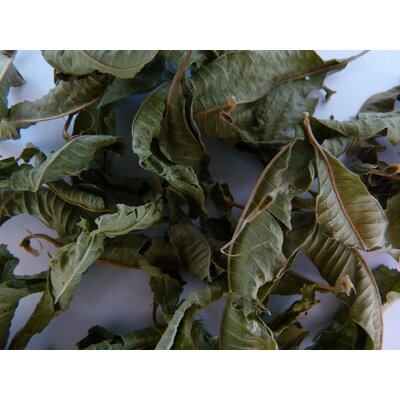 Verveine 2