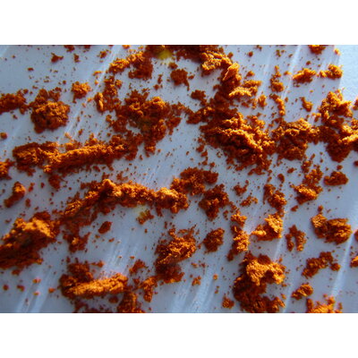 Piment doux 1