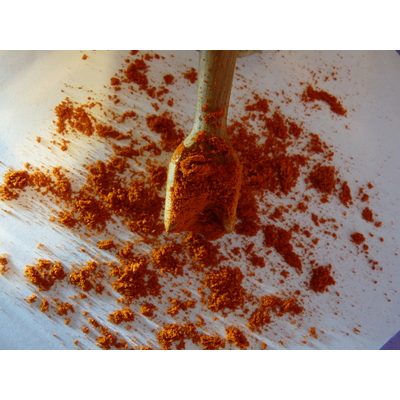 piment fort 11