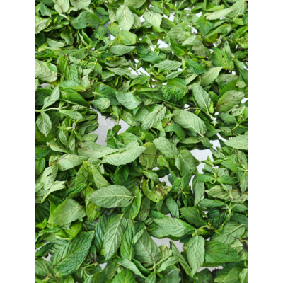 menthe