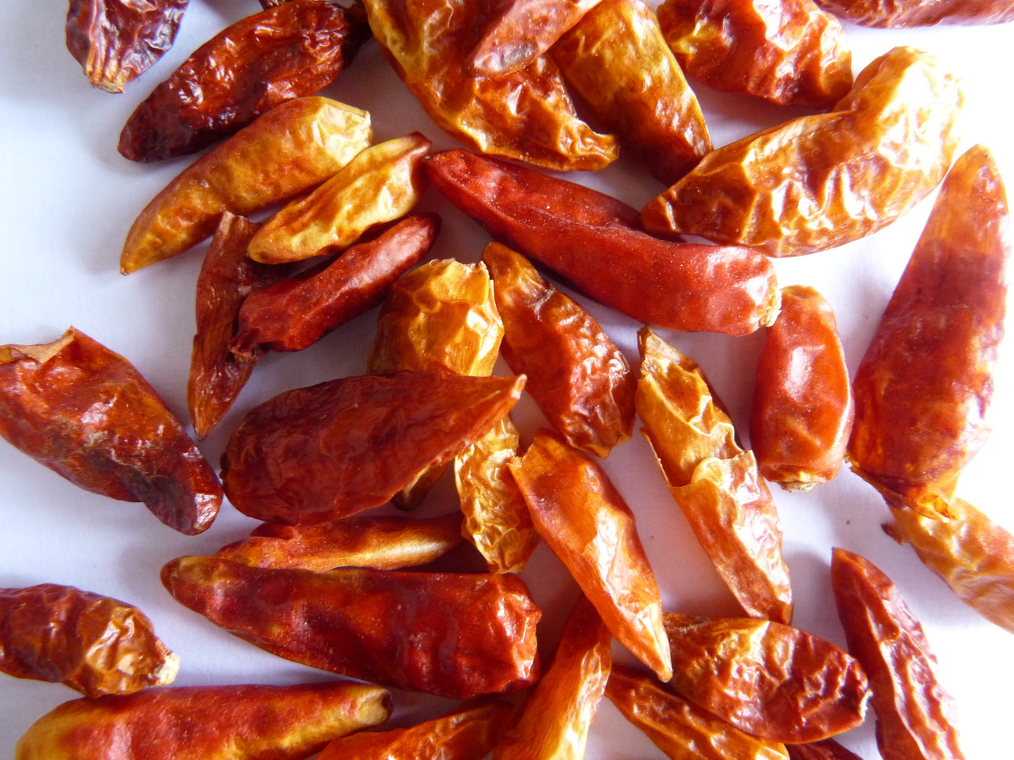 Piment Langue D Oiseau Echelle De Scoville