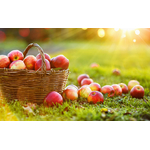 Arome pomme 20200