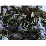 Menthe 2