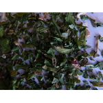Salade 2