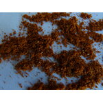 Mélange paprika, romarin et thym pour poulet et grillades