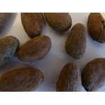 cacao 2