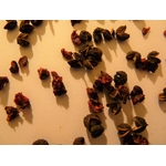 timut framboises 1