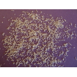 noix de coco 1