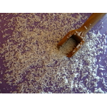 noix de coco 2