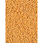 moutarde jaune graines