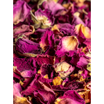 petale rose 1