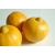 bergamote-fruit (Copier)