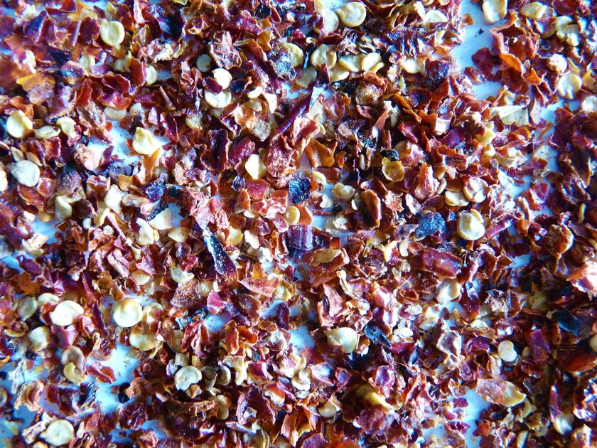 Piment habanero 1 (2)