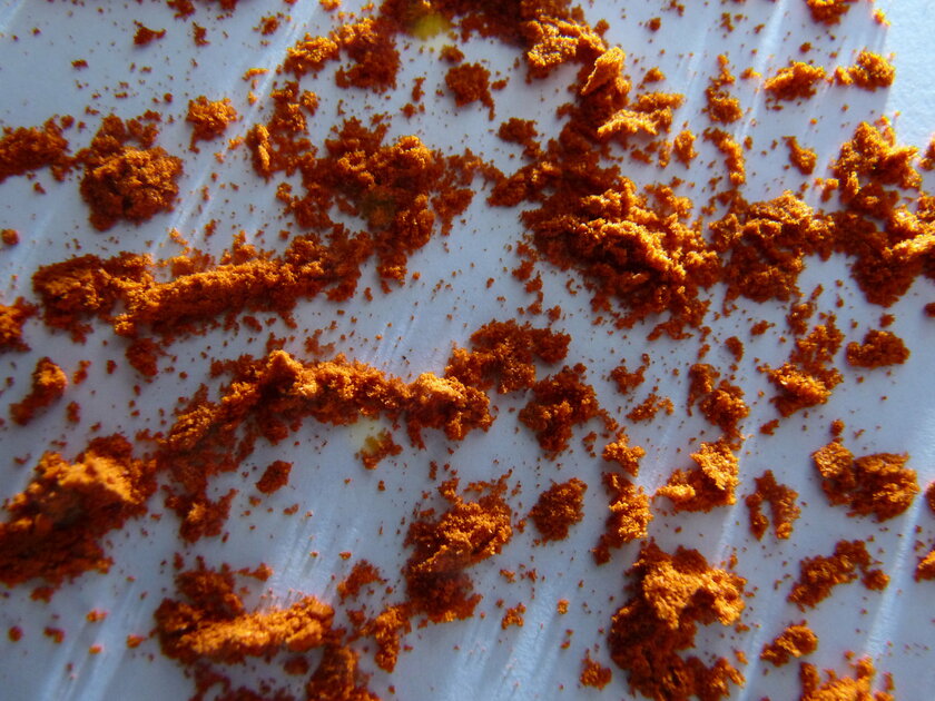 Piment doux 1