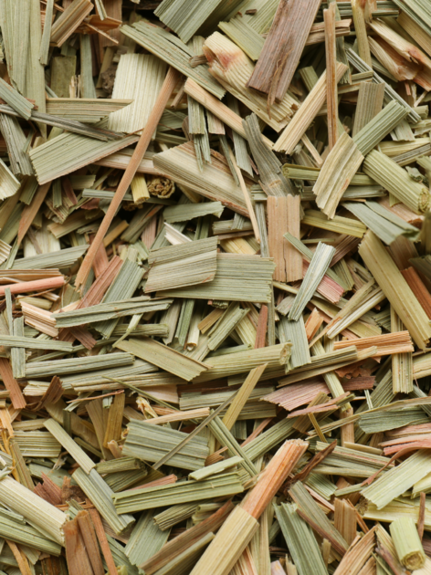 citronnelle feuilles