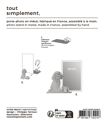verso_chien_caniche