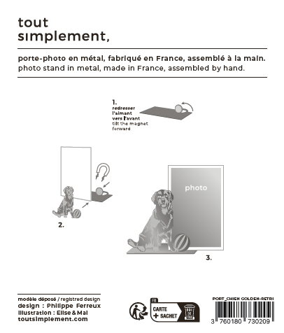 verso_chien_golden