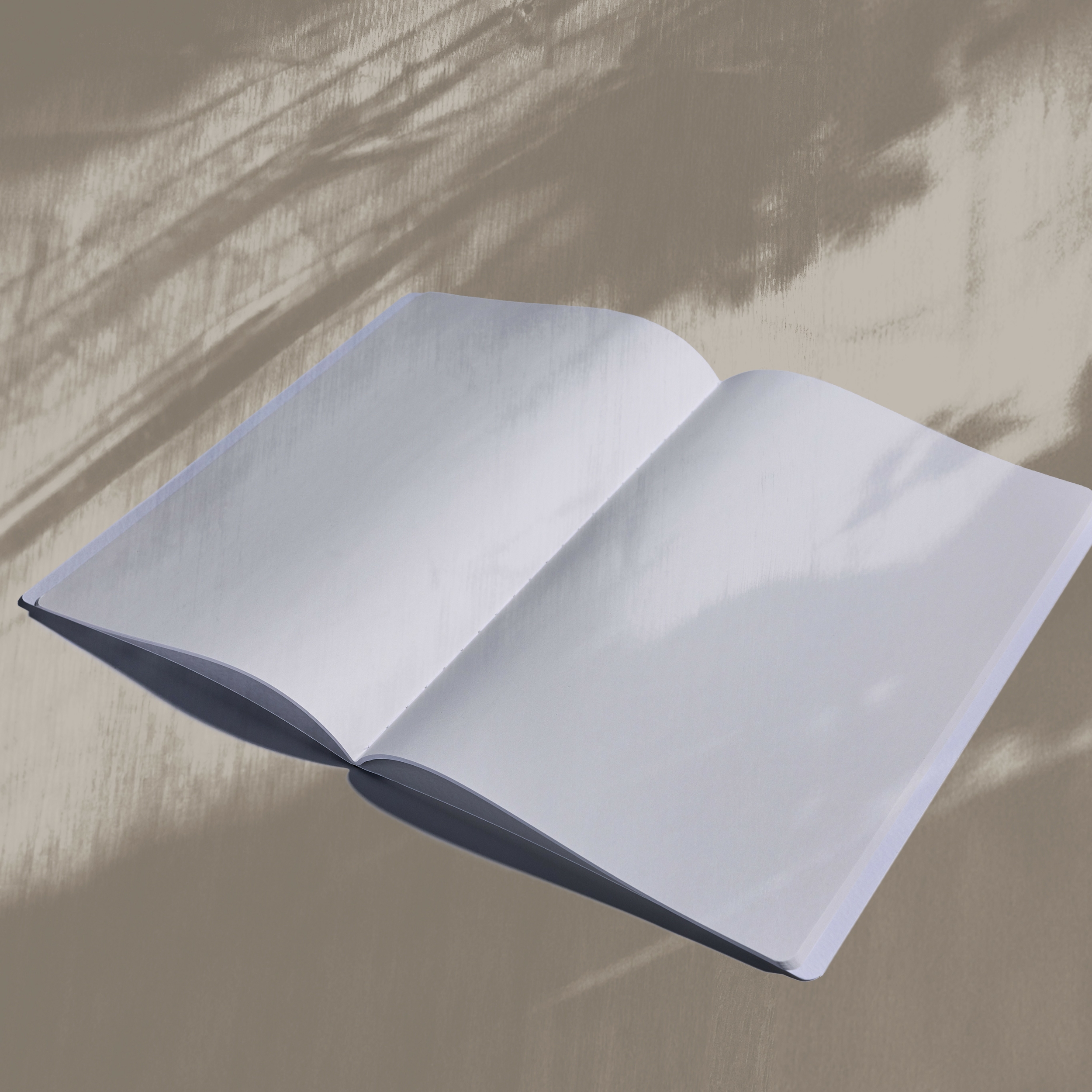 lines_unlined_blank