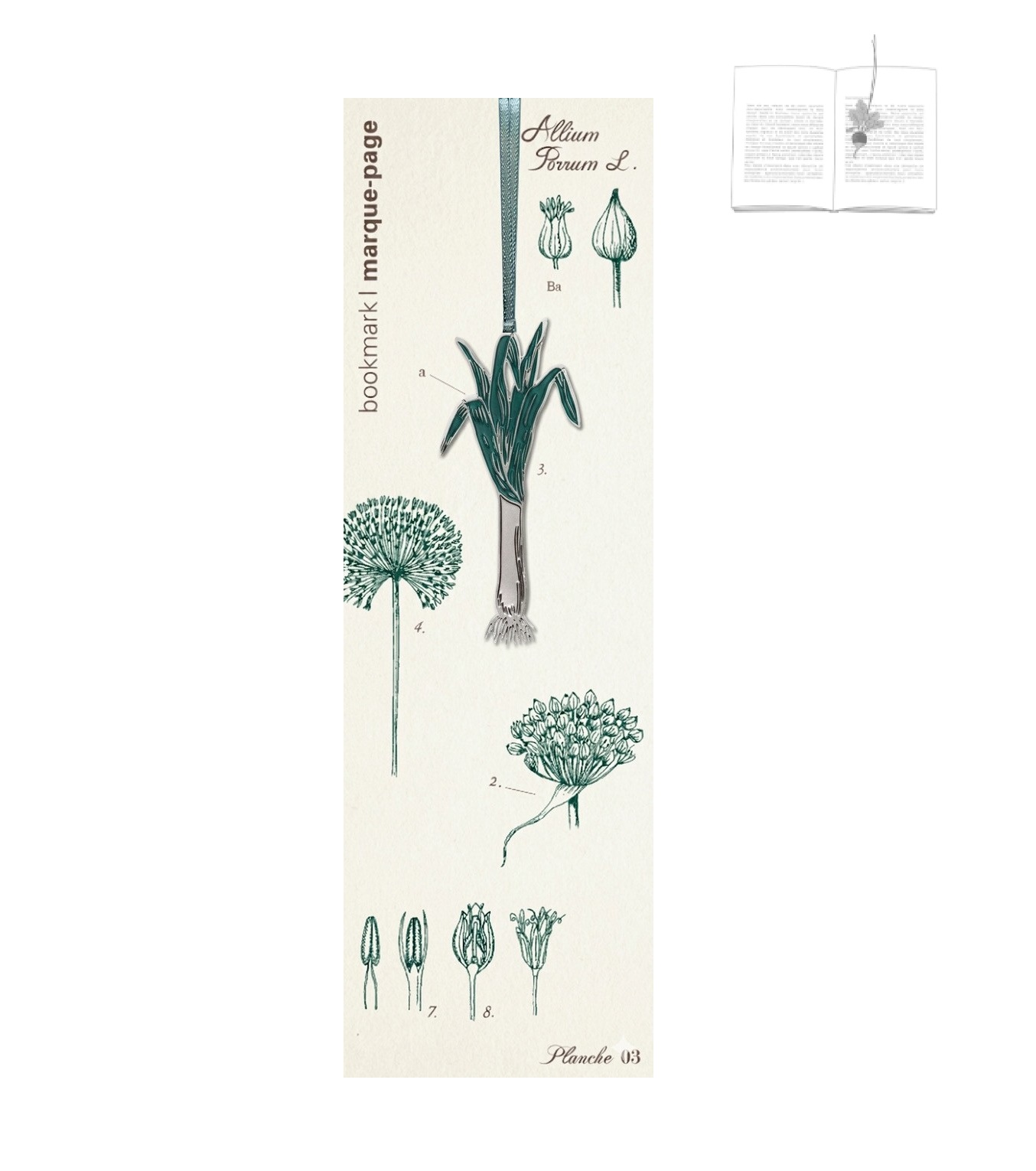 legumes-marque-page-poireau