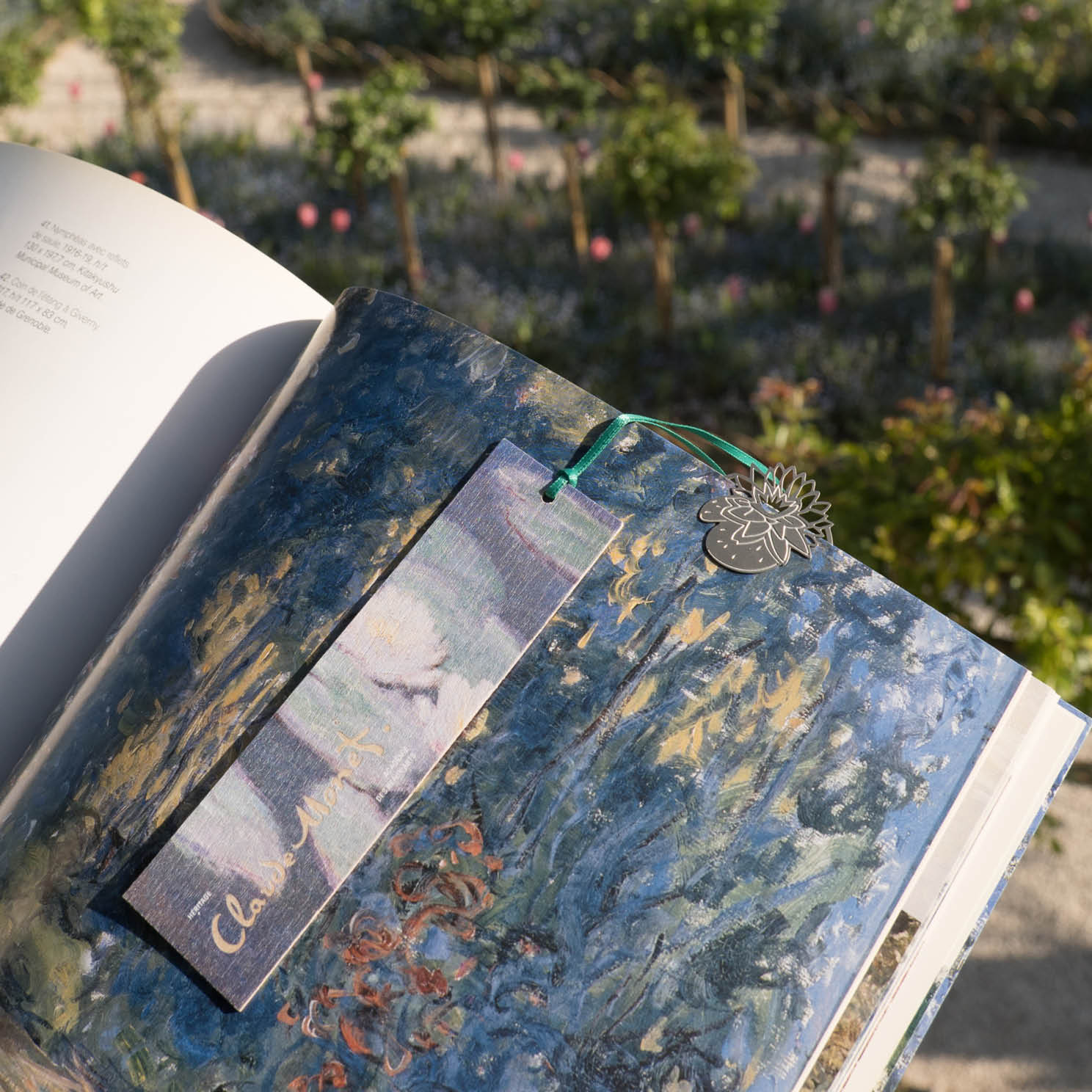 MONET chapitre 02_ bois