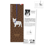 chien_METAL-MP2