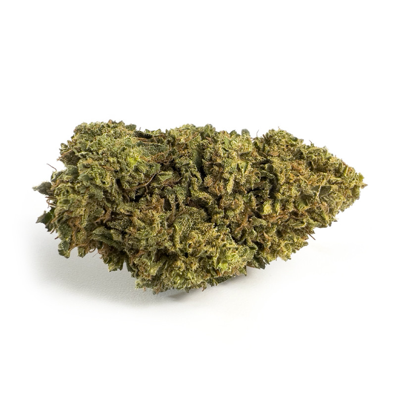 big-bud-new-york-diesel