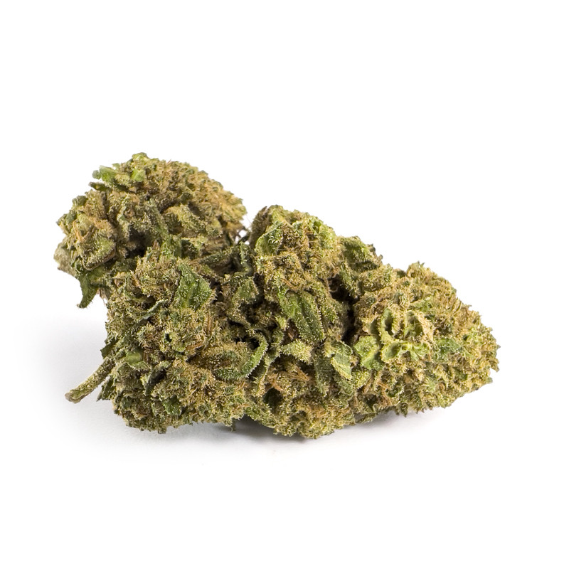 big-bud-double07