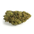 big-bud-new-york-diesel