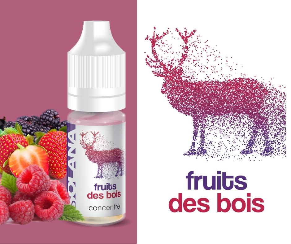 Fruits_des_bois4