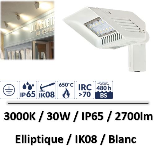 projecteur-blanc-30w-pour-magasin