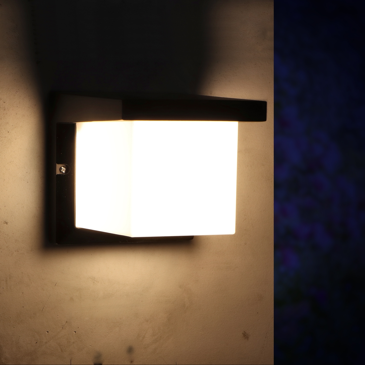 lm6159-1_667041c268625-800x800