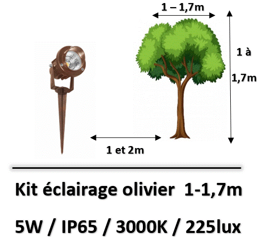 kit-eclairage-olivier