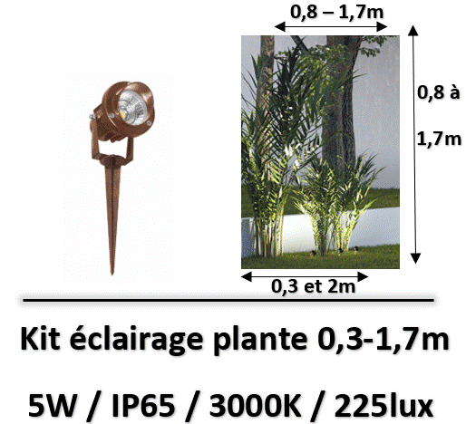 eclairage-de-plante