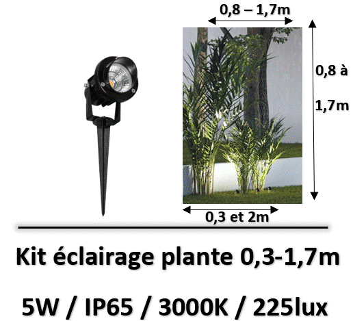 eclairage-de-plante-noir