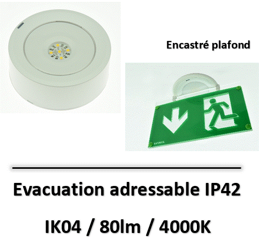 bloc-evacuation-adressable-encastre