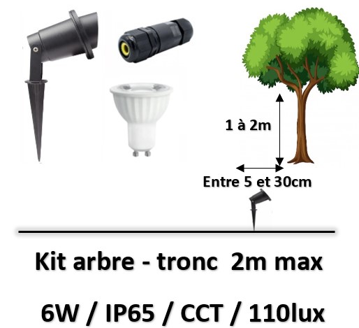 eclairage-de-tronc-arbre