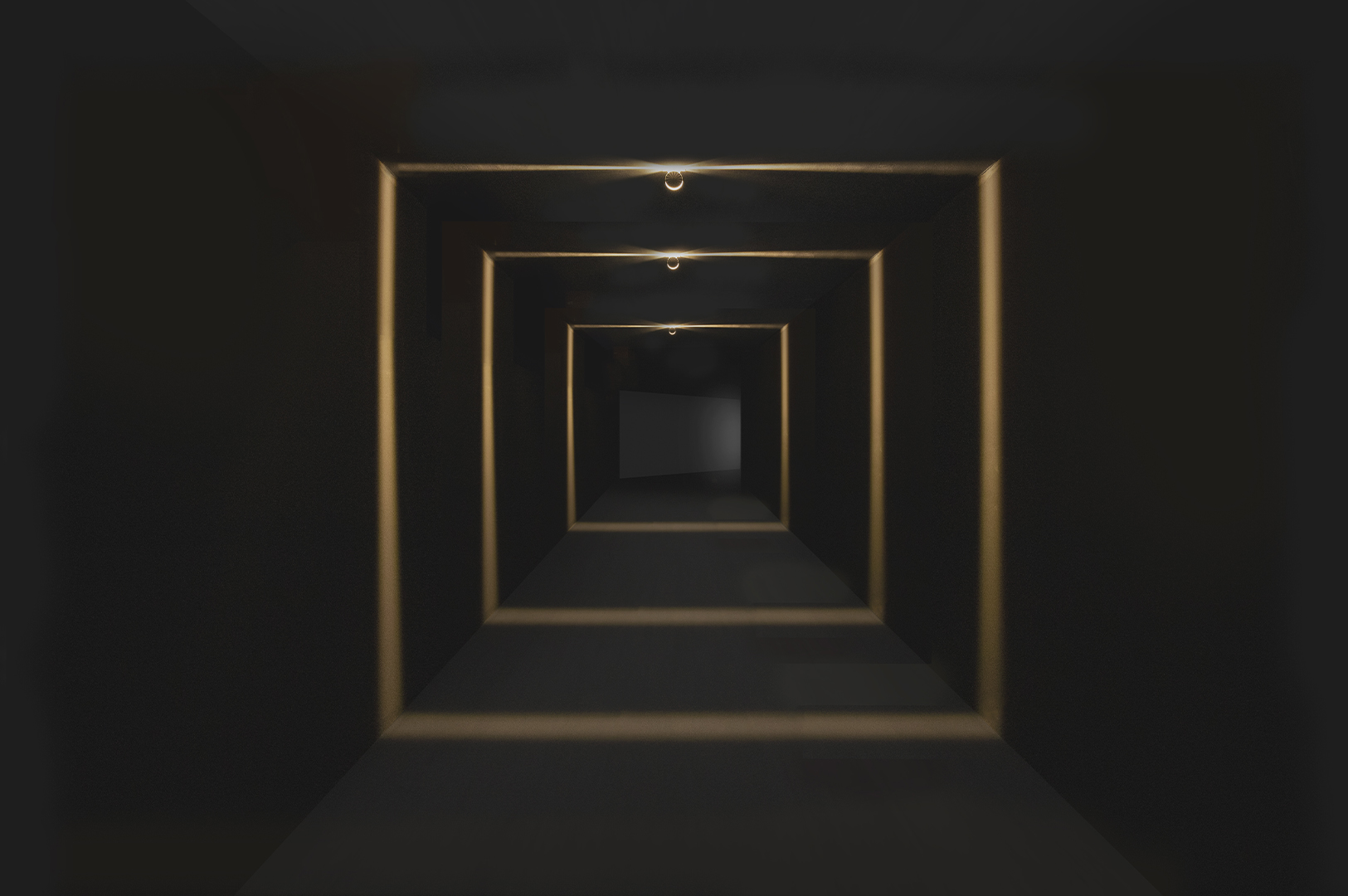 nik-galeria-3
