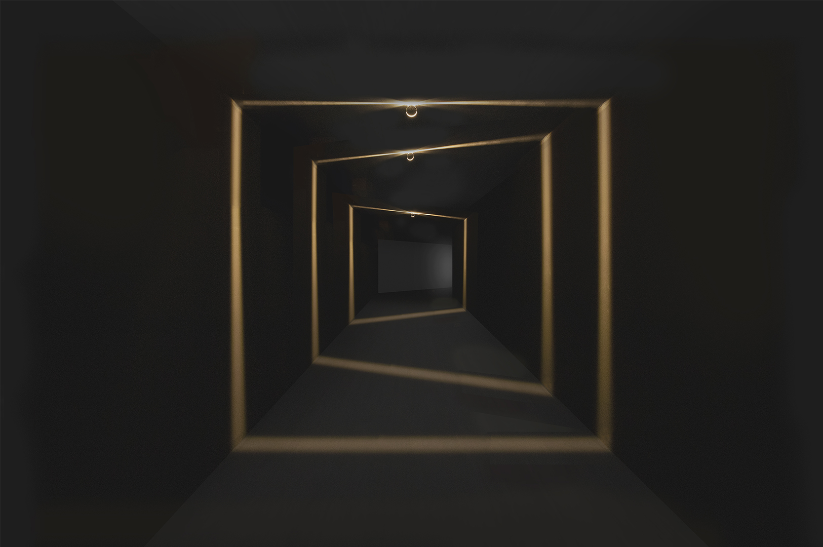 nik-galeria-1