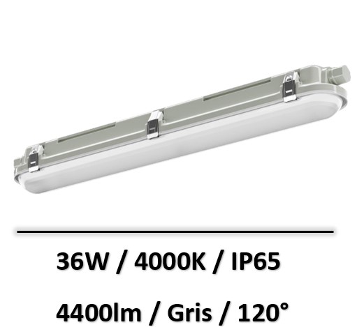 Reglette-etanche-lited-Balder