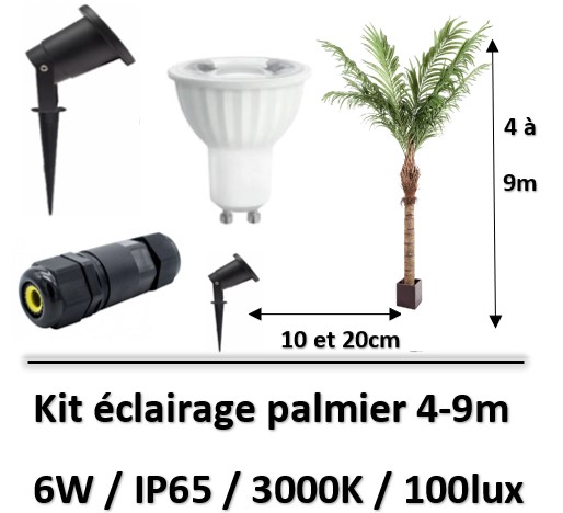 eclairage-palmier