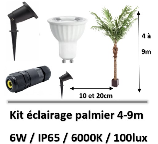 eclairage-de-palmier