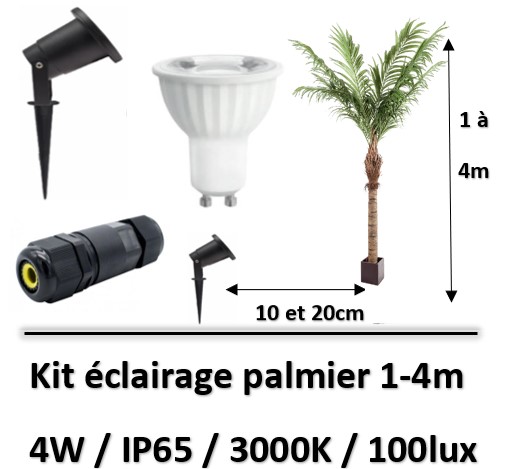 eclairage-de-palmier-led