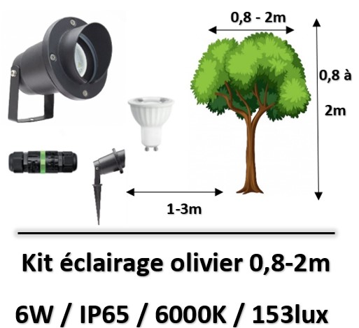 eclairage-olivier