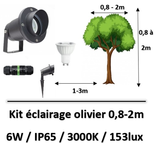 eclairage-led-olivier