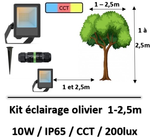 eclairage-olivier-CCT
