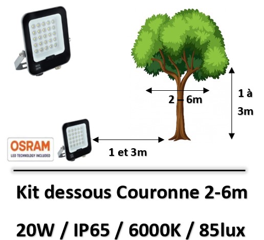 eclairage-arbre