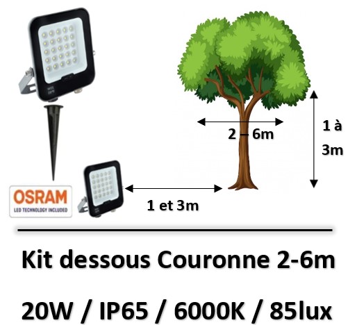 eclairage-d-arbre
