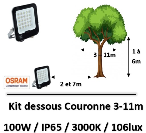 eclairage-d-arbre