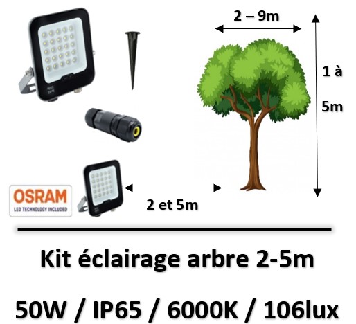 eclairage-arbre